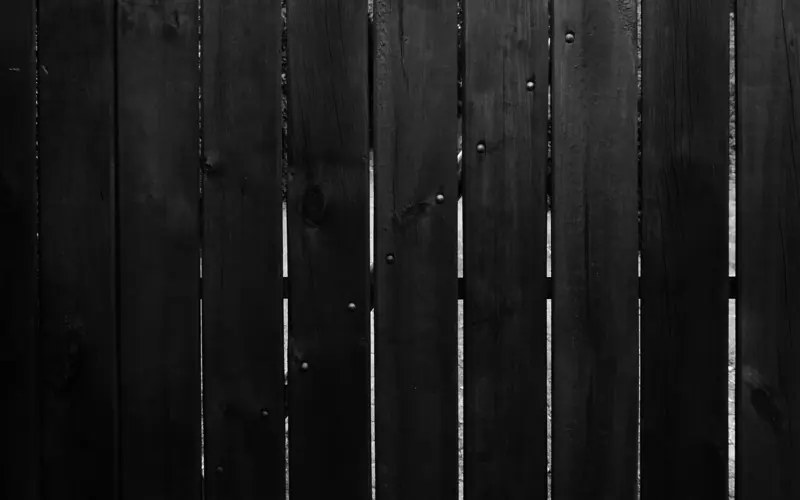 Black and white photo of vertical wooden fence panels with natural textures and details.