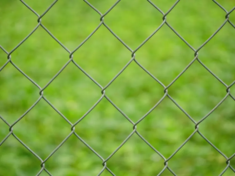 A close-up view of a metal chain link fence against a blurred green background.