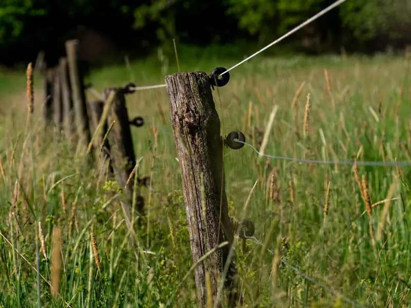 A rustic wooden fence stands amidst a lush green meadow in Stockholm, Sweden.