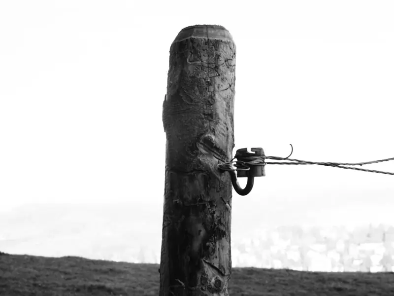 Black and white photo of a wooden post with wire fence in St. Gallen, Switzerland.