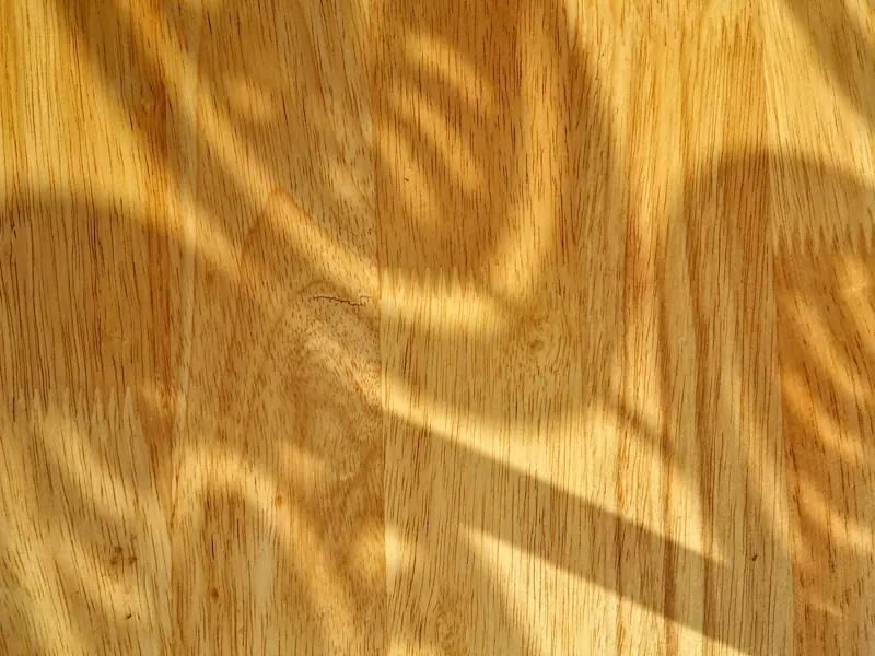 Abstract shadows on a sunlit wooden floor bring depth and texture.