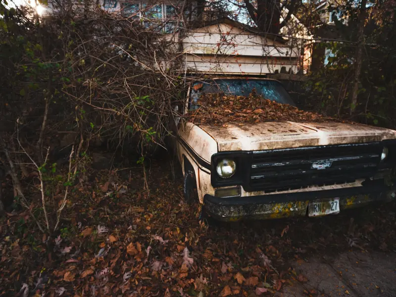 An old, rustic truck overgrown with leaves and foliage in an outdoor setting.