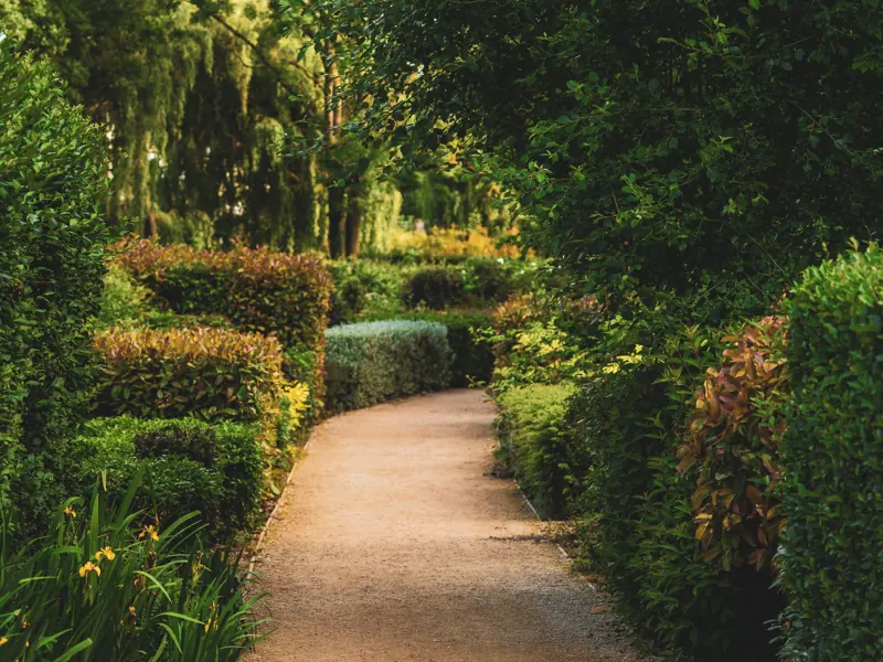 A peaceful garden path surrounded by vibrant hedges and greenery, perfect for nature walks.