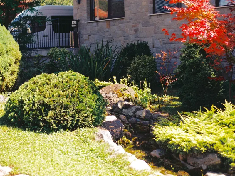 Serene garden featuring vibrant red leaves and lush greenery framing a stone pathway.