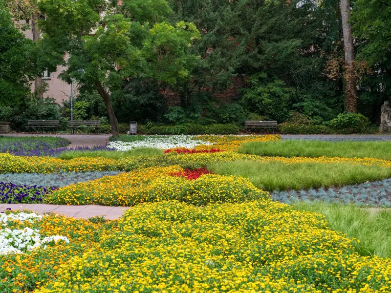 Lush garden with diverse flowering plants and greenery, offering a vibrant and serene outdoor space.