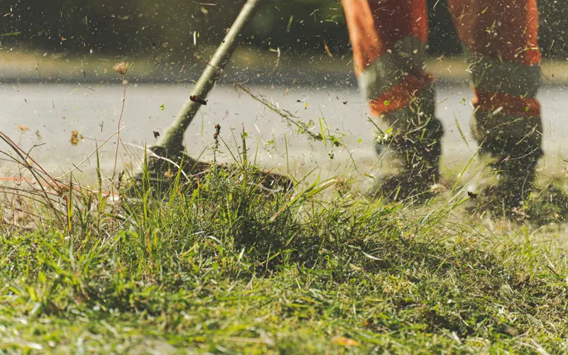 A person using a lawn mower to trim grass in a sunny garden.