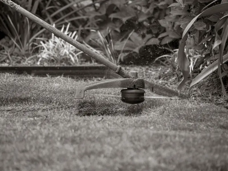 Close-up of a grass trimmer cutting the lawn with foliage background.
