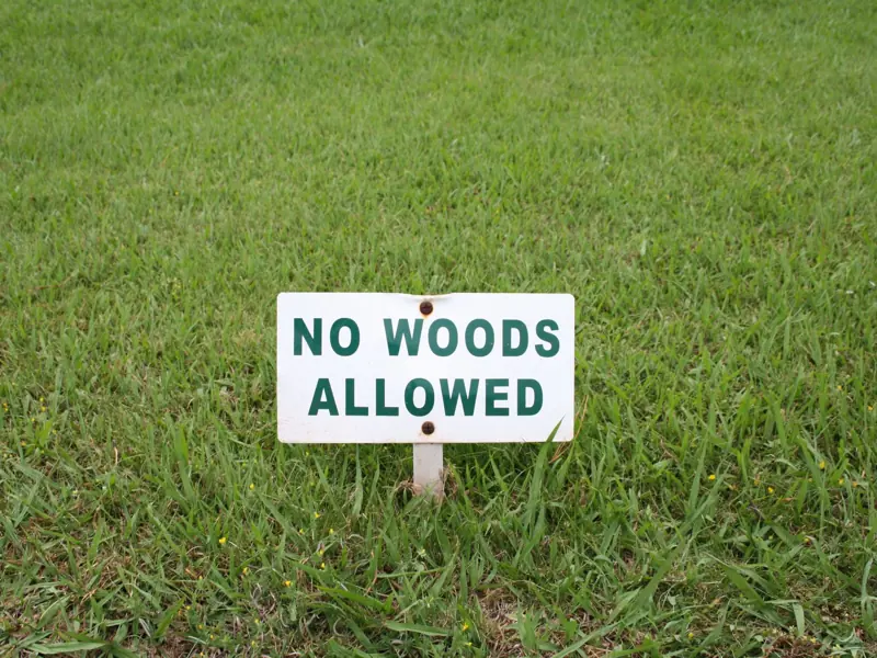 A close-up view of a 'No Woods Allowed' sign in a grassy field in Madeira.