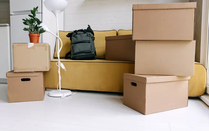 Cardboard boxes and a backpack in a cozy living room signify moving day excitement.