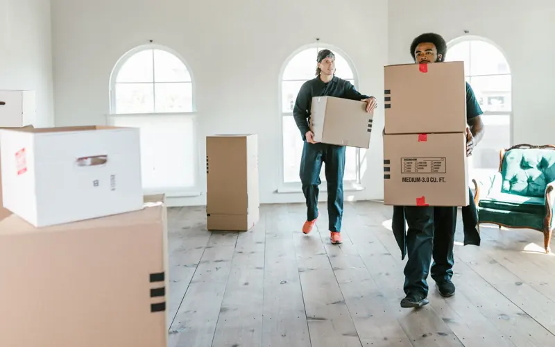 Two movers carrying boxes in a sunlit room, ready to assist with relocation.