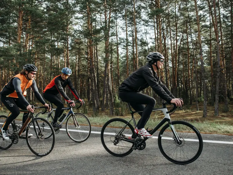 Three cyclists enjoying a ride through a scenic forest on a sunny day.