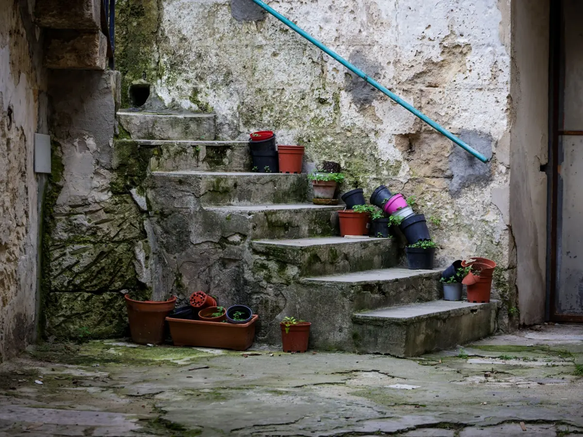 Rustic stone staircase with vibrant flowerpots against a weathered wall. Perfect for historical architecture themes.