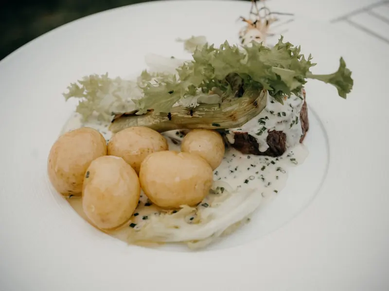 A delicious gourmet meal featuring creamy potatoes, greens, and sauce on a white plate.