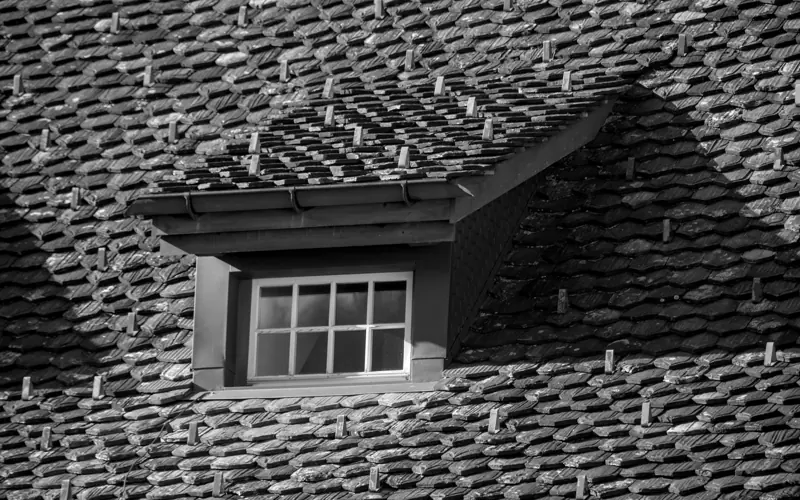 Black and white photo of a tiled roof featuring a dormer window, showcasing architectural details.