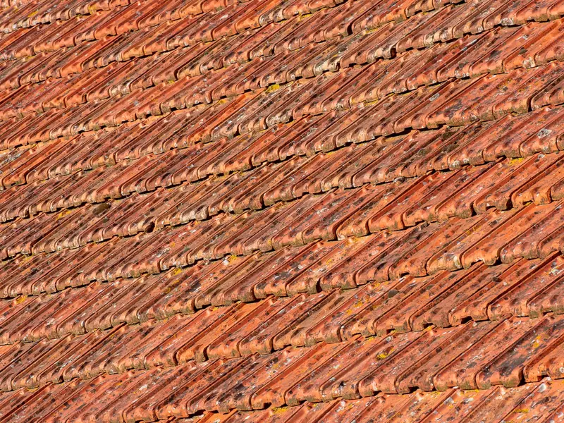 Close-up view of textured terracotta roof tiles with sunlight highlighting details.