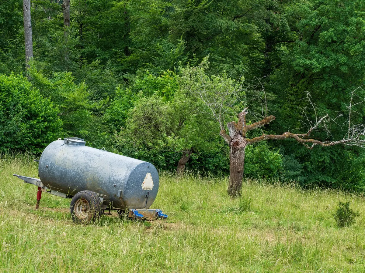 An old water tank sits in a lush meadow surrounded by dense green foliage and trees.