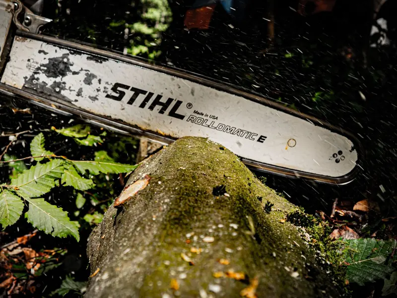 Powerful chainsaw slicing through a tree log in a dense forest in Hohenstein, Germany.