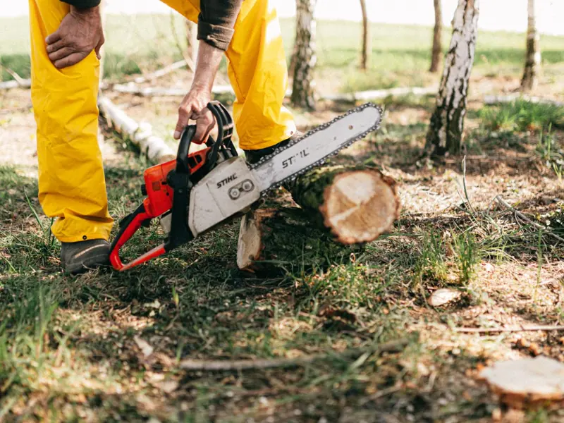 Lower body of crop unrecognizable lumberjack in yellow uniform with electrical power saw cutting tree in forest on sunny summer day