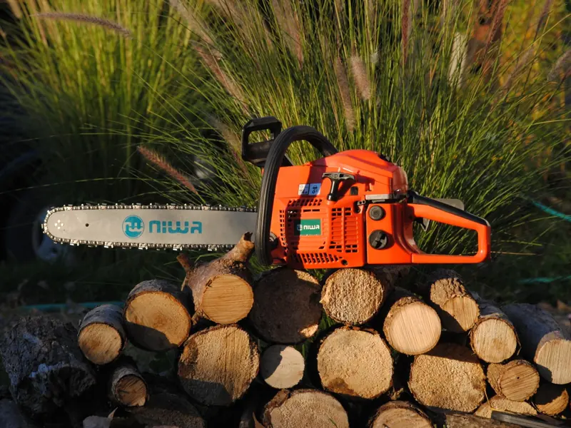 Orange chainsaw resting on cut logs in a sunlit garden, surrounded by greenery.