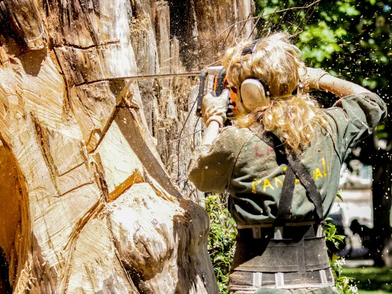 A skilled woman arborist cuts a large tree with a chainsaw outdoors, showcasing expertise in tree care.